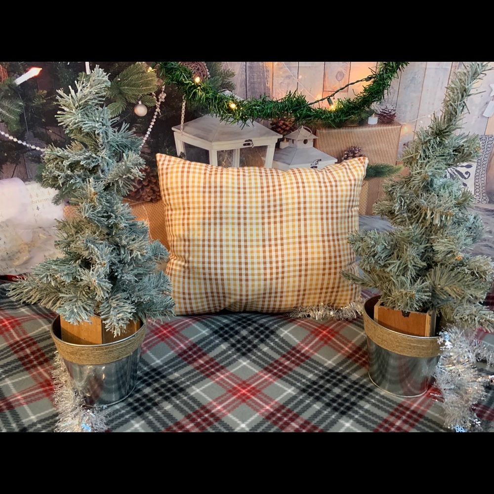 2for$24 OR 1 $13 handmade pillows